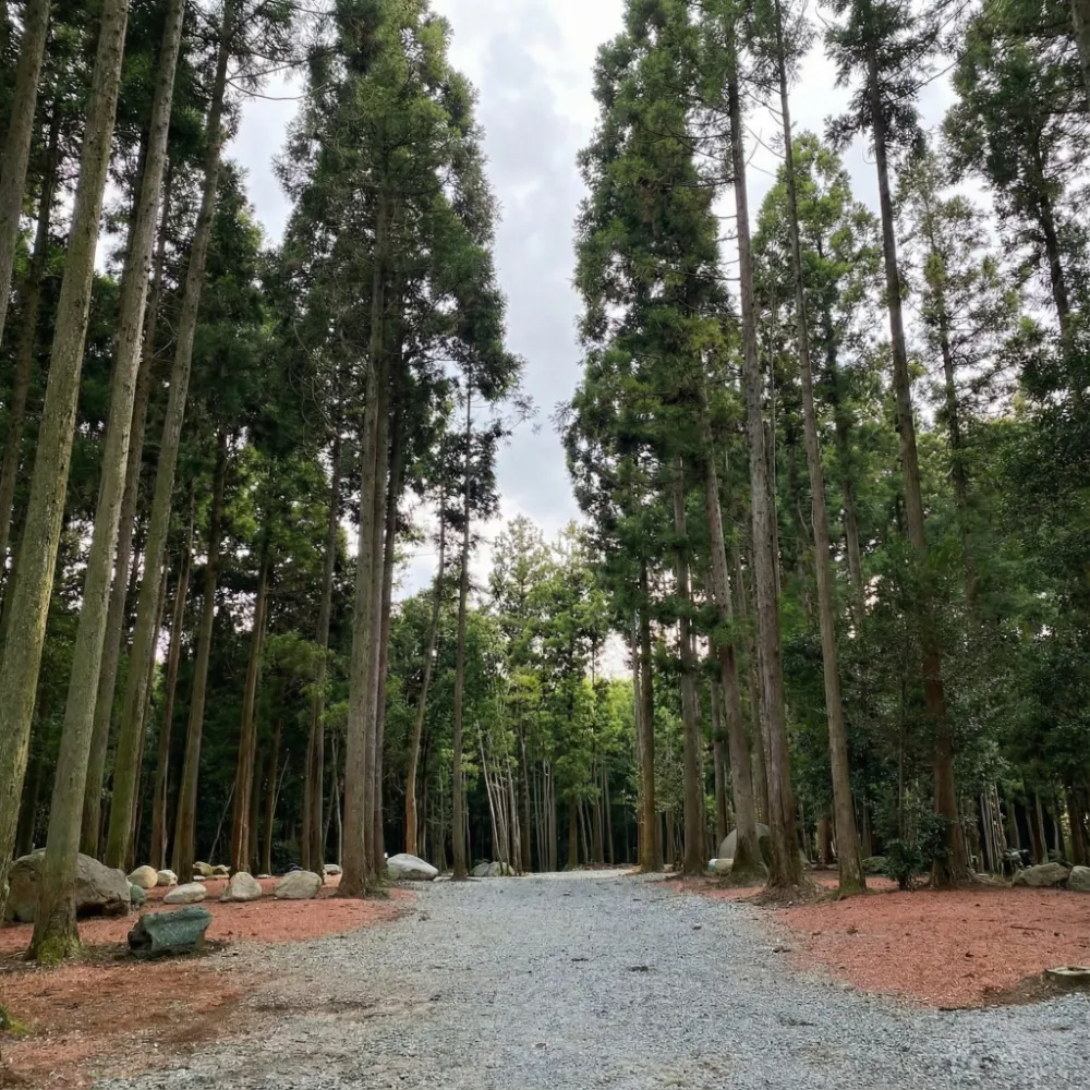 俺たちのキャンプ場