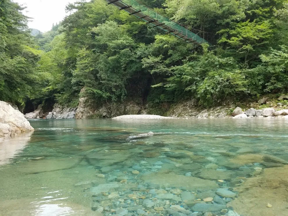 板取キャンプ場