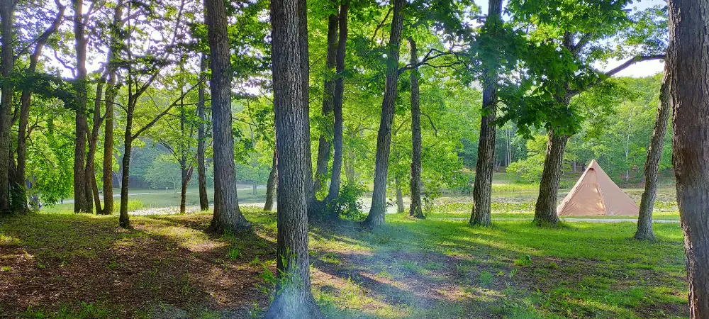 ohnuma campbase(旧大沼野営場)の写真