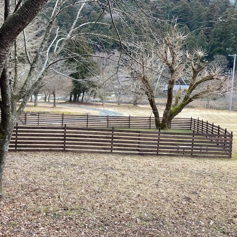 かもしか葛川森のキャンプ場の写真
