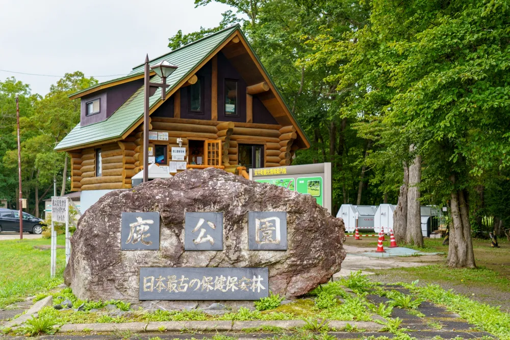 安平町鹿公園キャンプ場