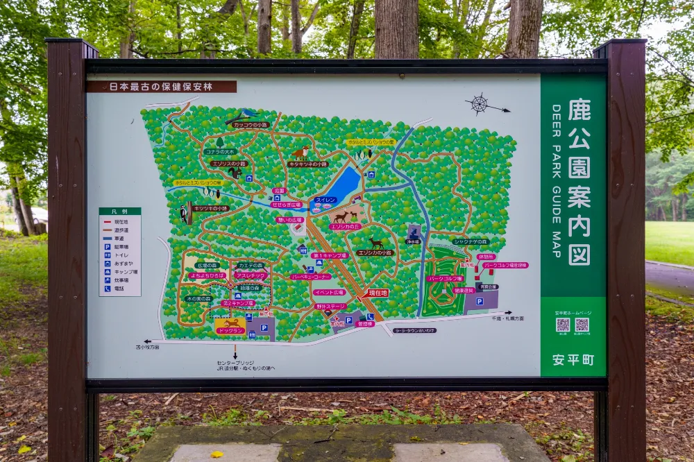 安平町鹿公園キャンプ場の写真