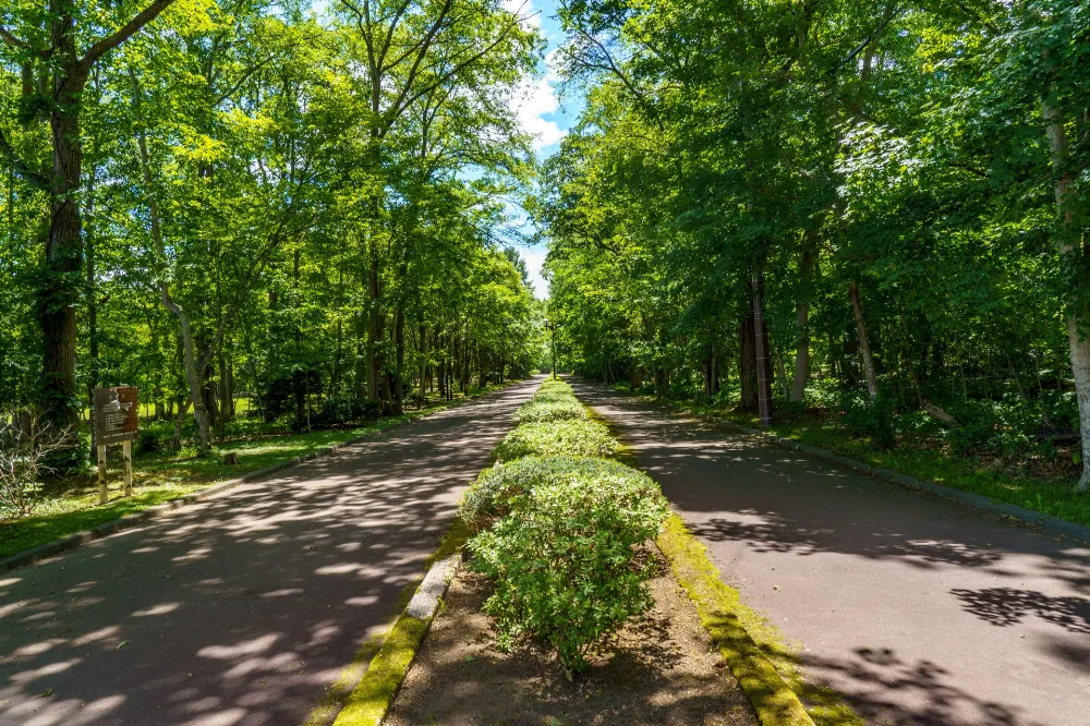 安平町鹿公園キャンプ場の写真
