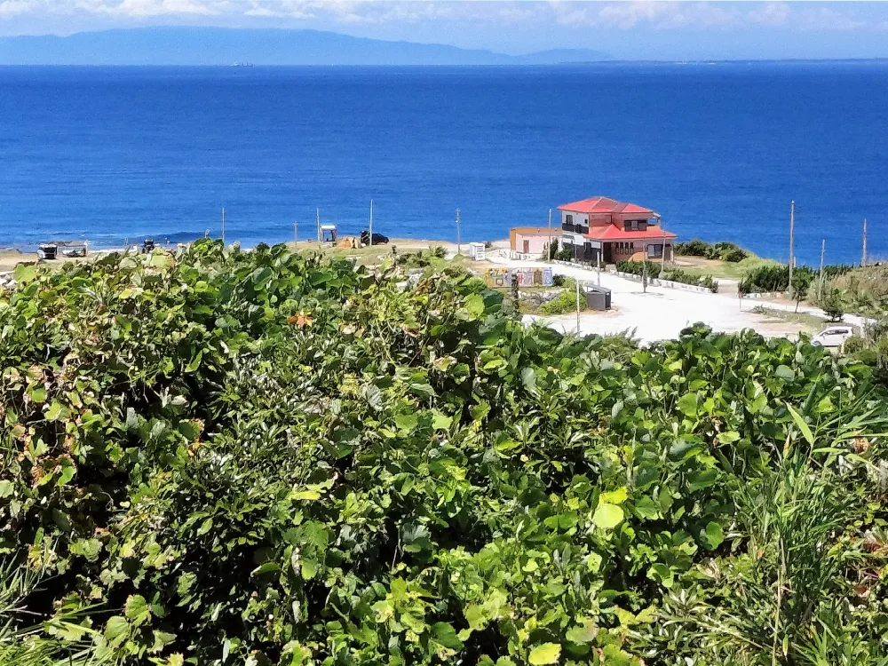 お台場海浜庭園