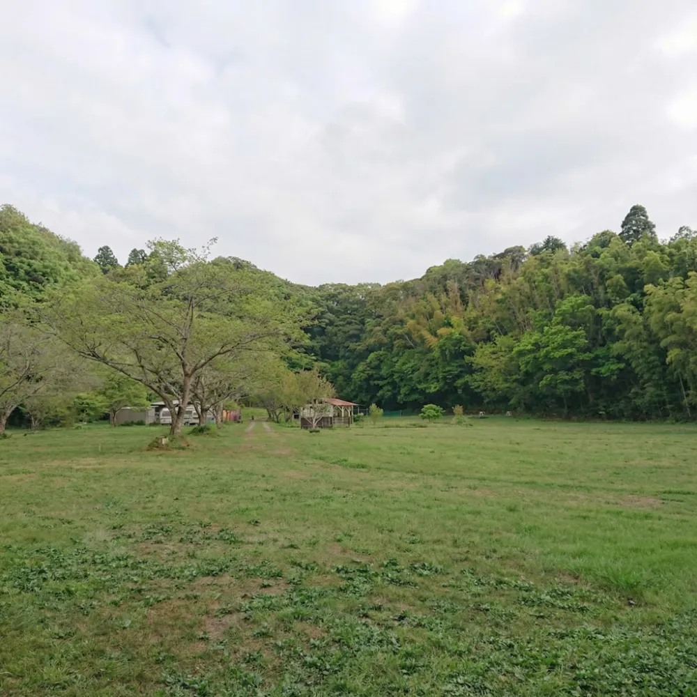 実谷オートキャンプ場