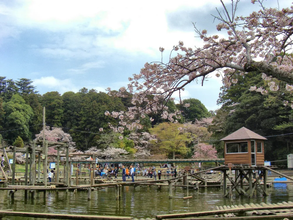 清水公園キャンプ場の写真
