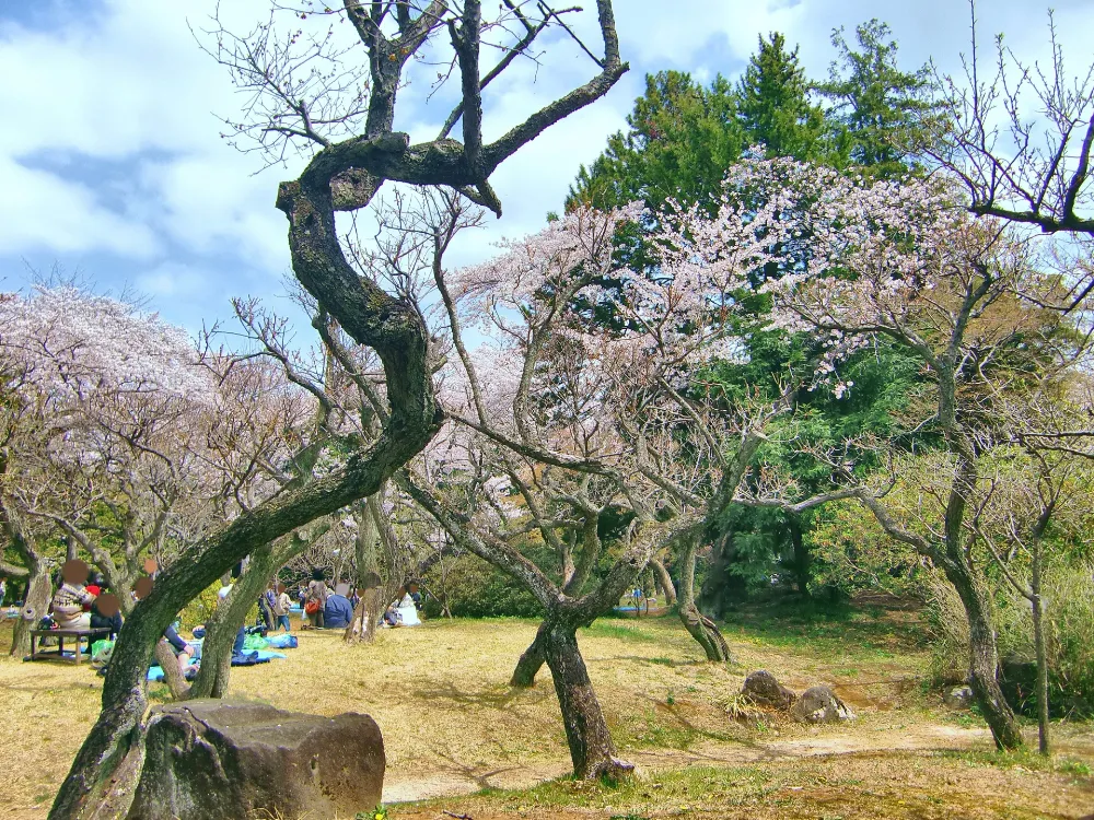 清水公園キャンプ場の写真