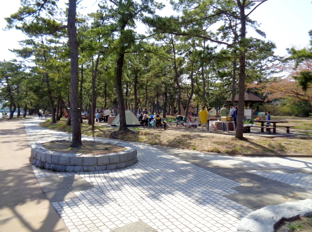 野島公園キャンプ場の写真