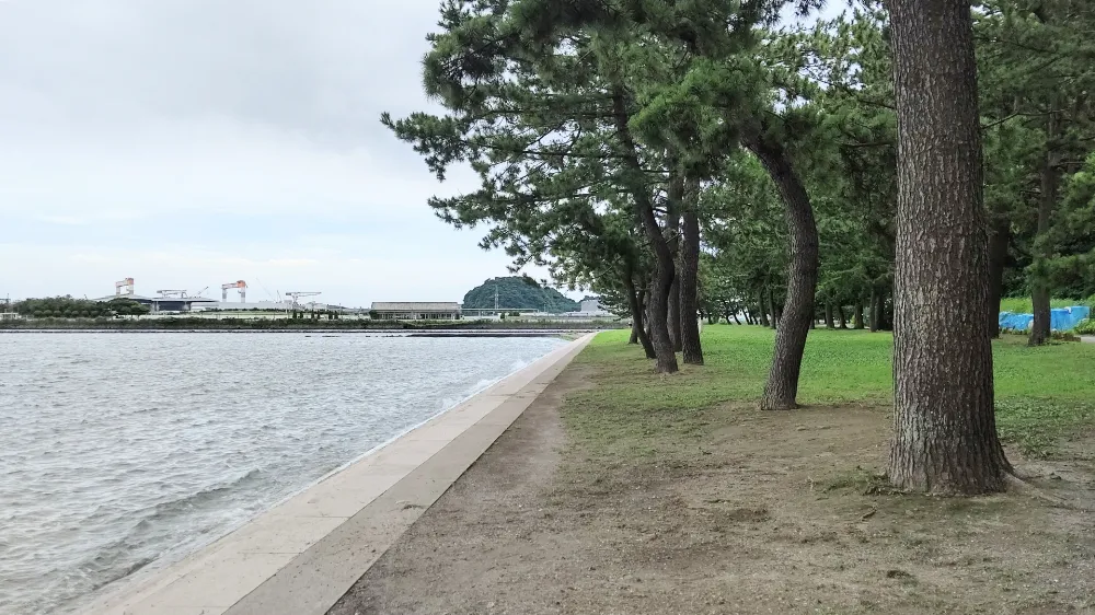 野島公園キャンプ場の写真