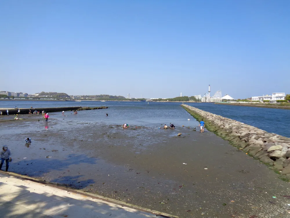 野島公園キャンプ場の写真