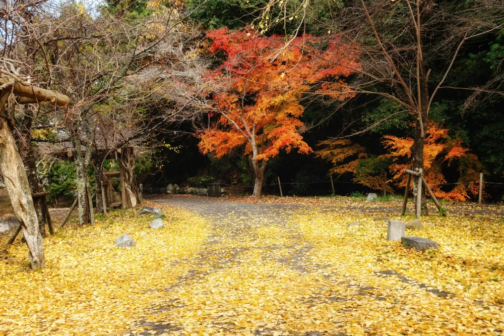 グリーンパーク山東の写真