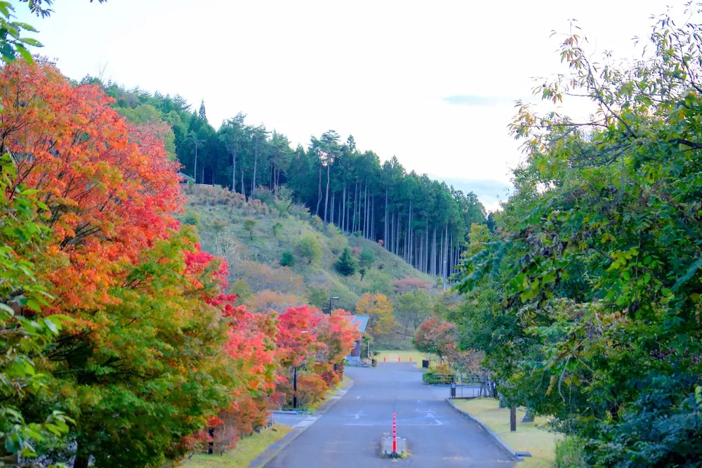 フォレストステーション波賀東山オートキャンプ場の写真
