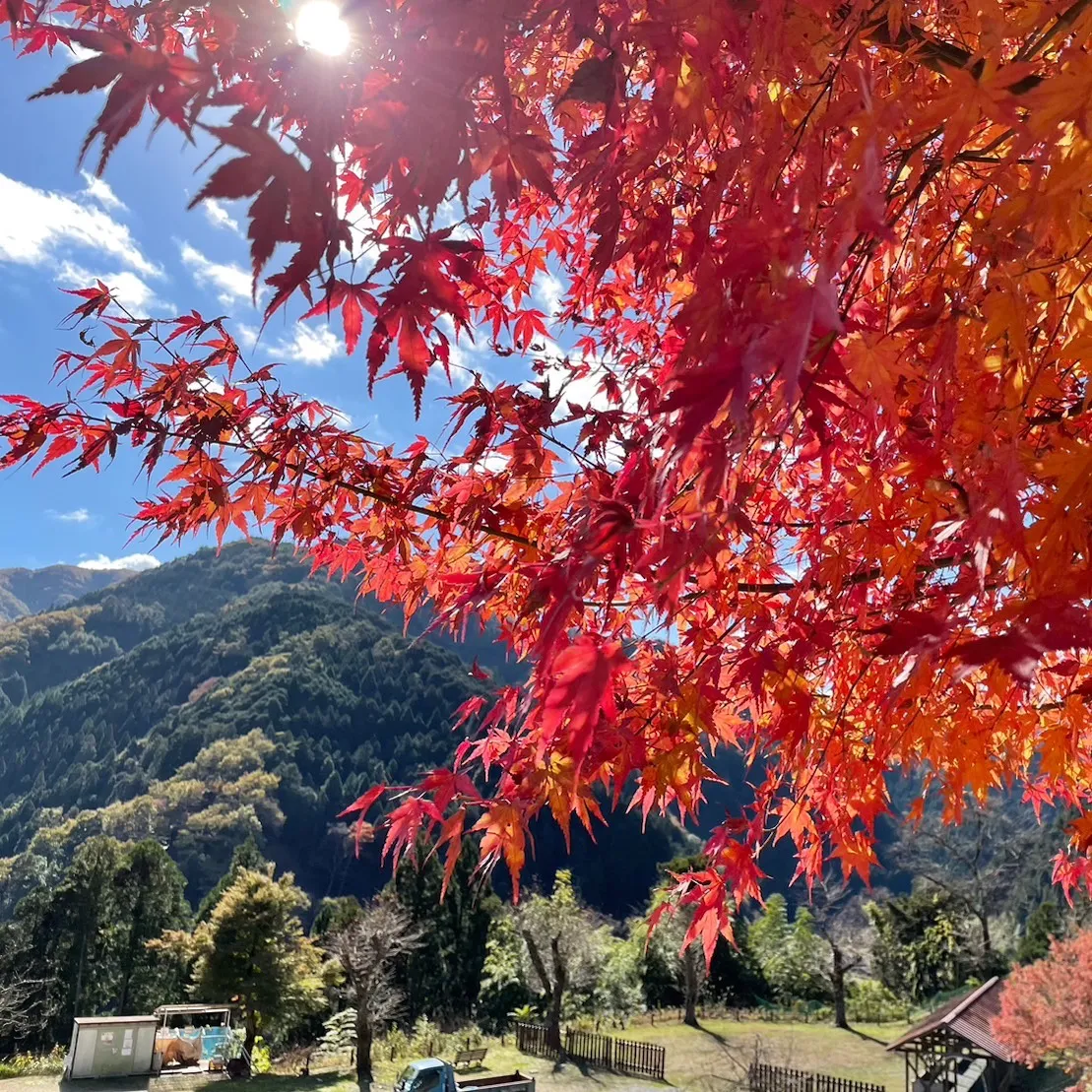 天滝公園キャンプ場の写真