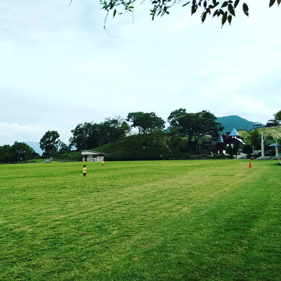紀美野町のかみふれあい公園オートキャンプ場の写真
