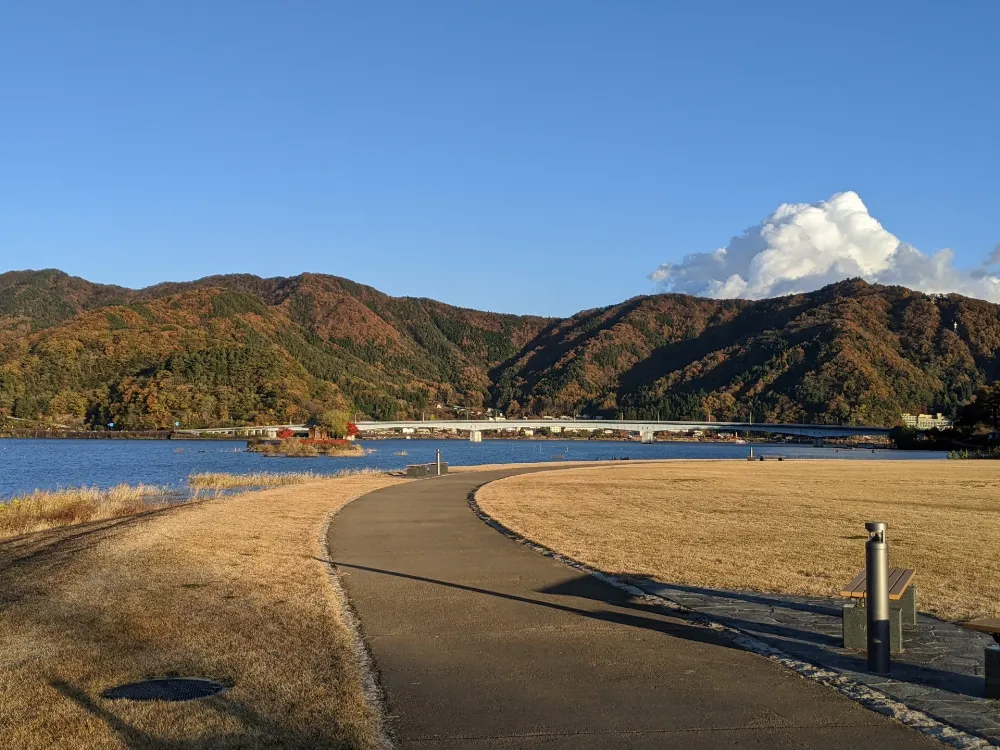 ニューブリッヂキャンプ場