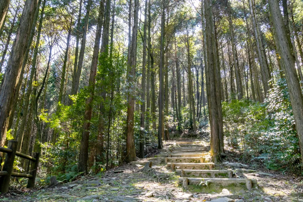 ながさき県民の森の写真