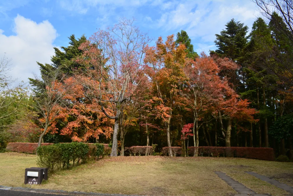 ひなもりオートキャンプ場