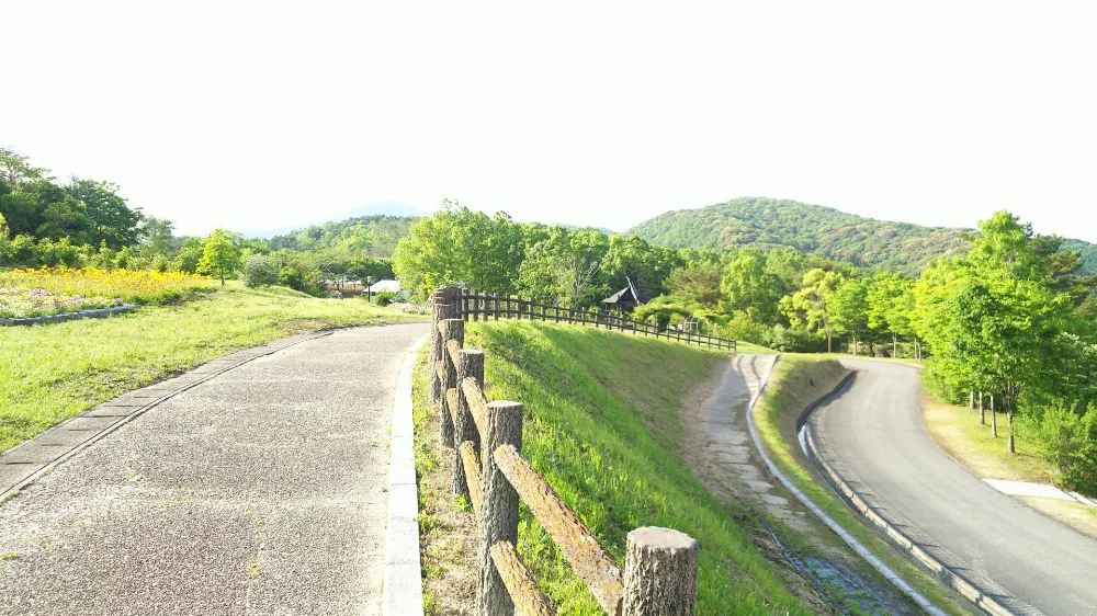 るるパークオートキャンプ場(大分農業文化公園オートキャンプ場)の写真