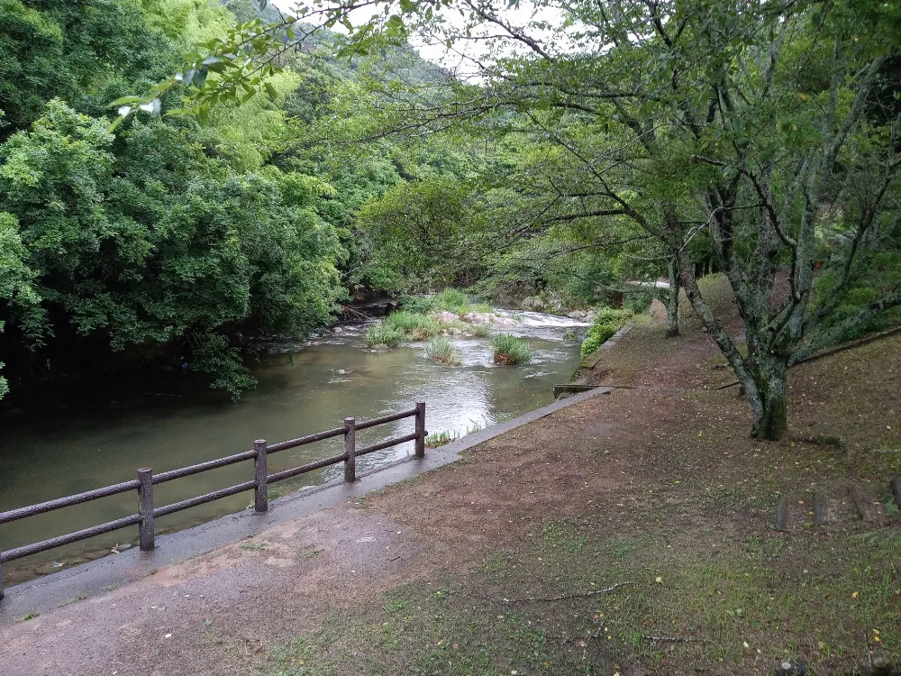 源じいの森の写真