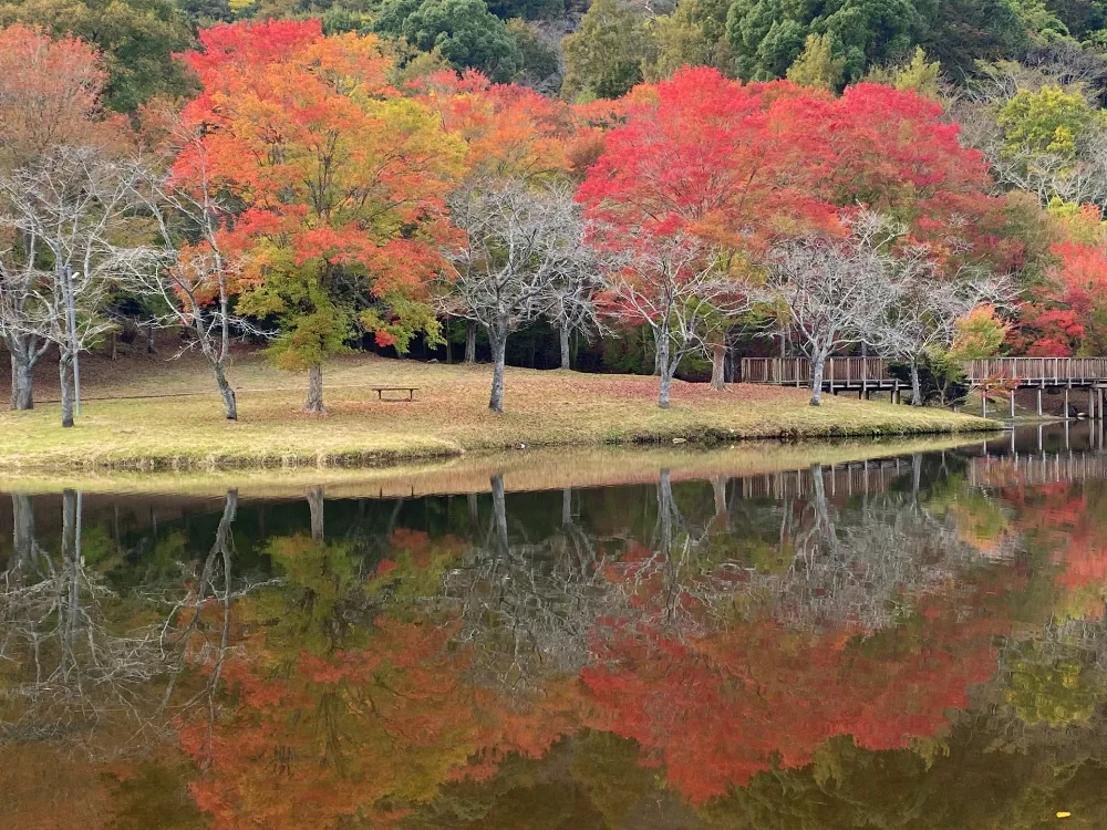 萩尾公園キャンプ場