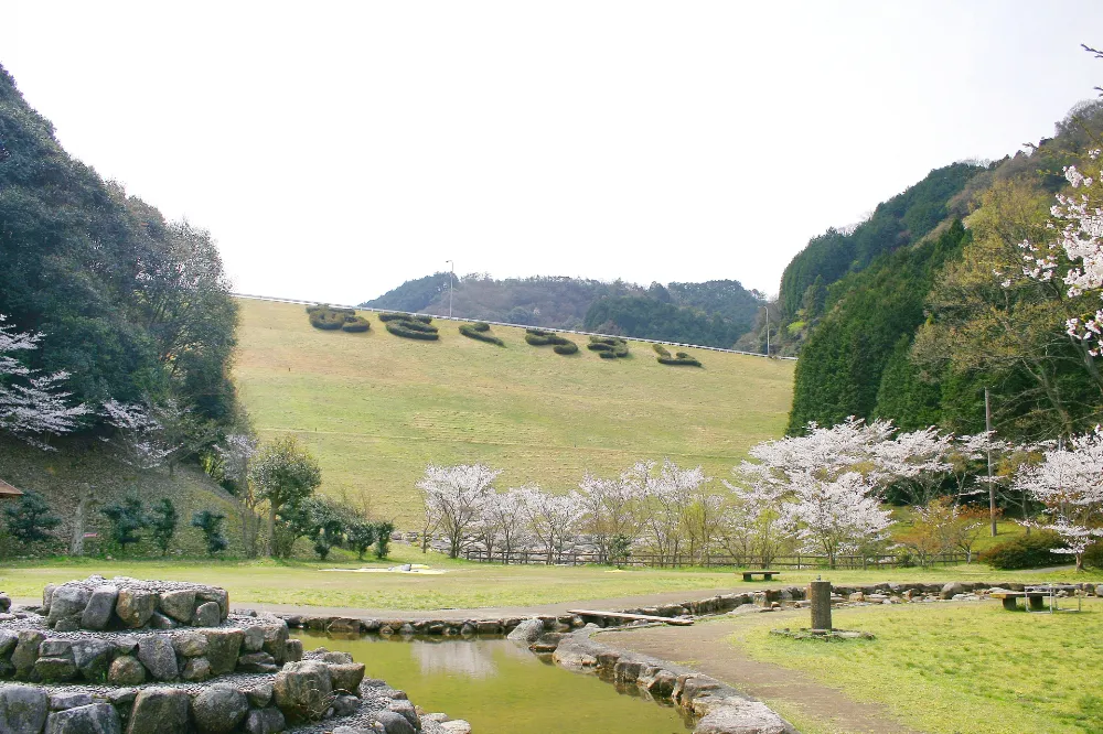 朝倉ダム湖畔緑水公園の写真