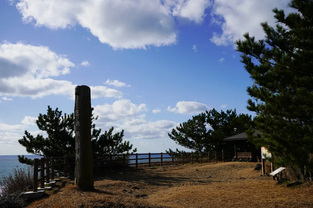 三崎公園キャンプ場の写真