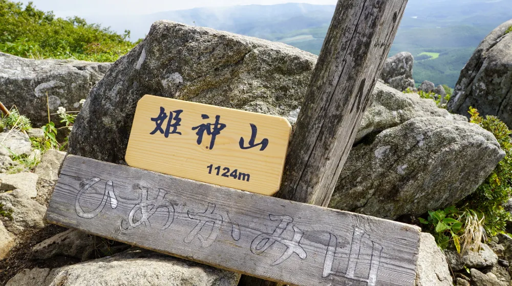 姫神山一本杉園地キャンプ場