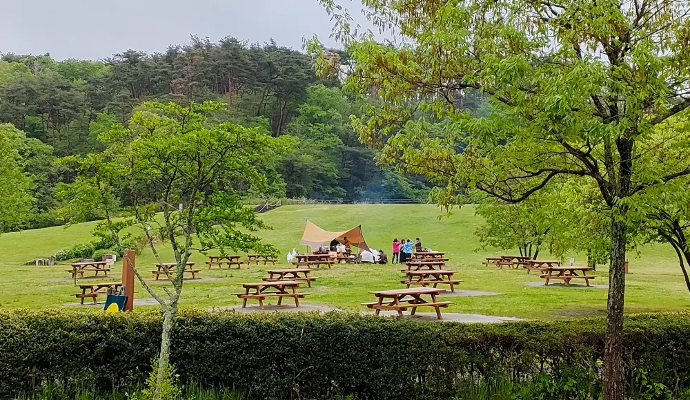水の森公園キャンプ場の写真