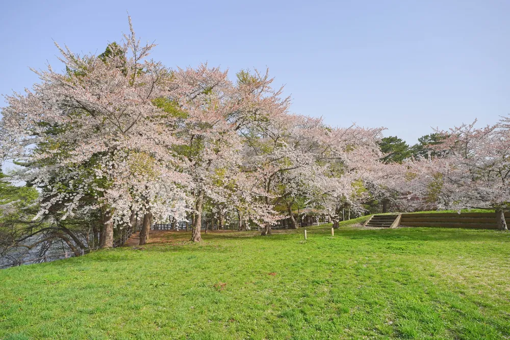 芦野公園オートキャンプ場の写真