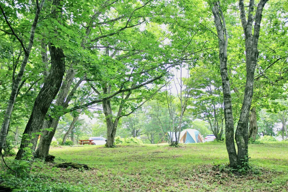 蔵王坊平国設野営場の写真