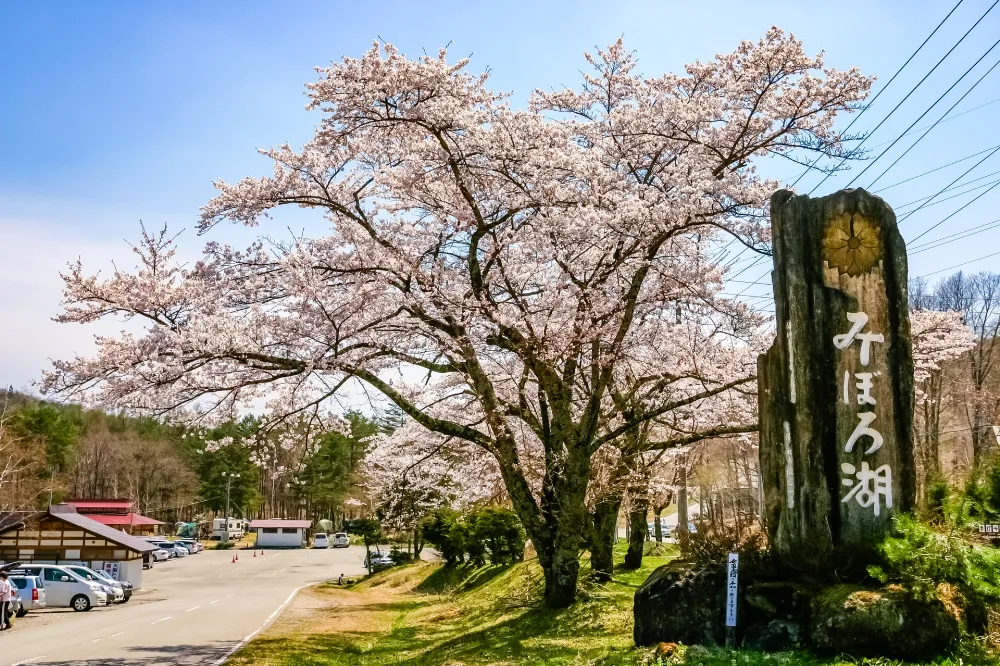 さくら街道みぼろ湖畔キャンプサイト