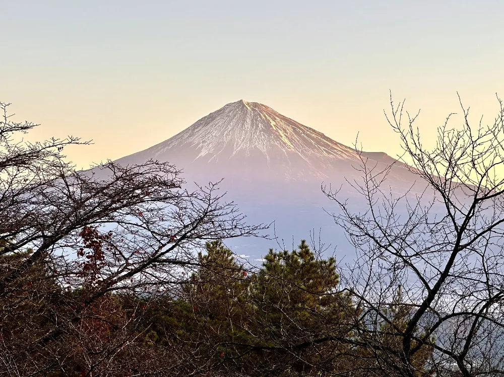 丸火自然公園グリーンキャンプ場の写真