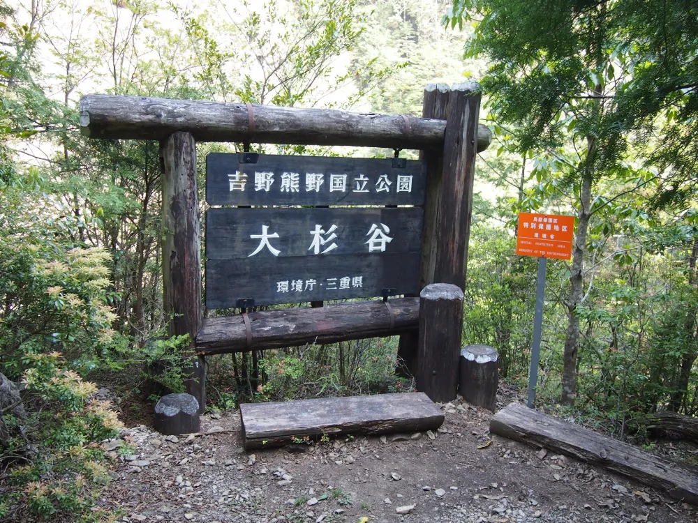 大杉谷林間キャンプ村の写真