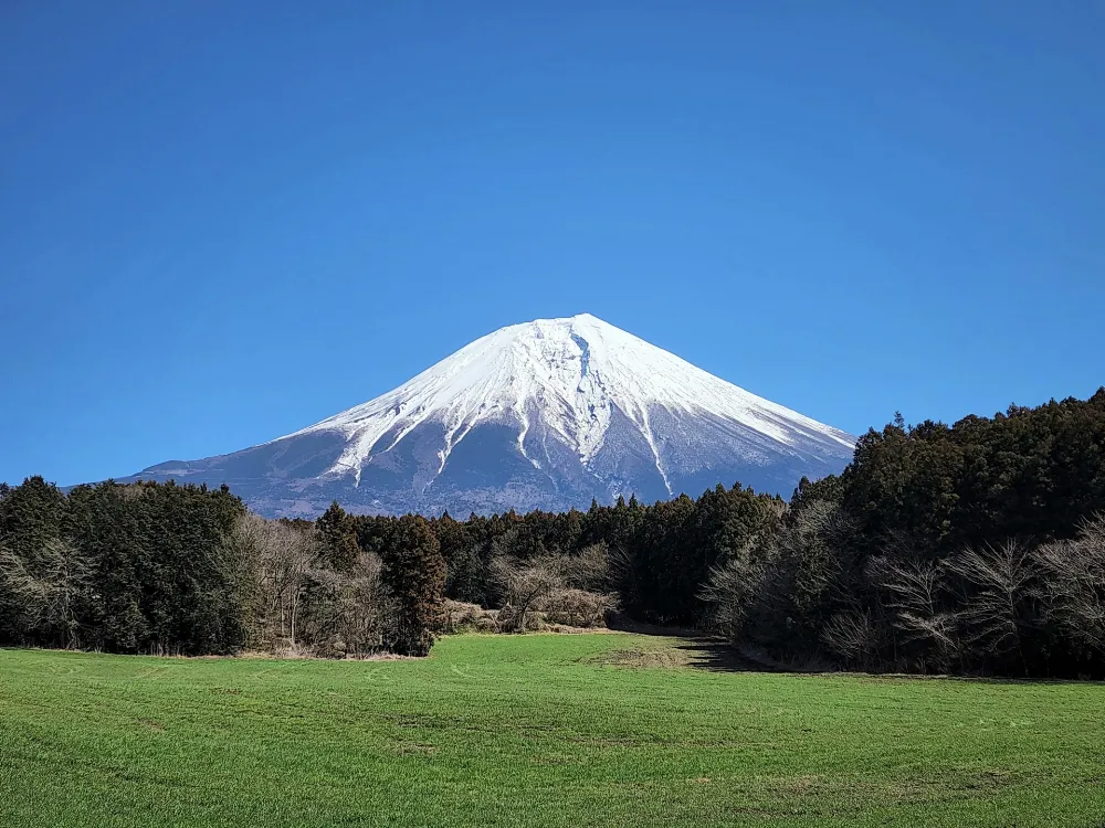 富士オートキャンプ場ふもと村の写真