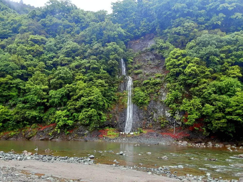 青野原野呂ロッジキャンプ場の写真