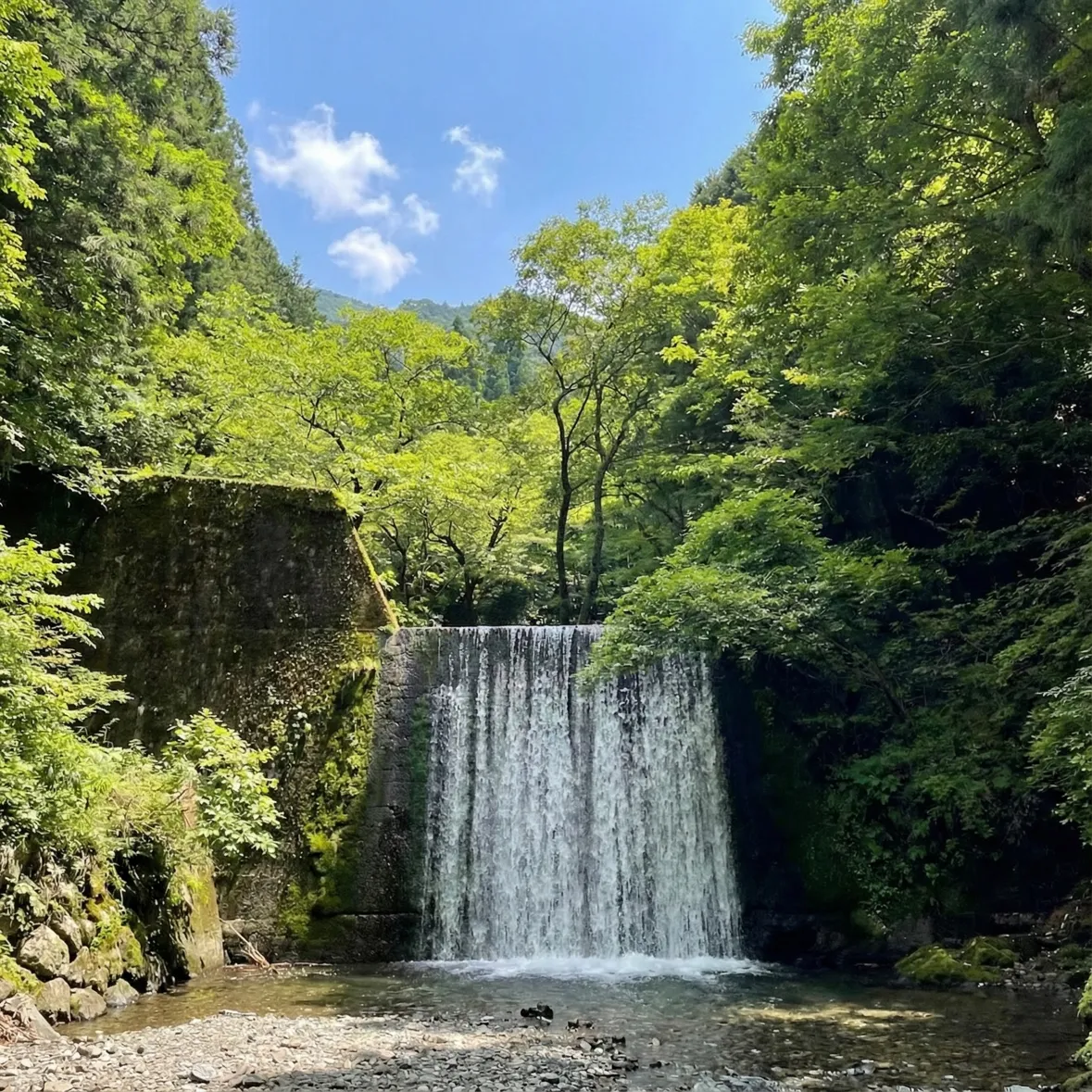 大鳩園キャンプ場