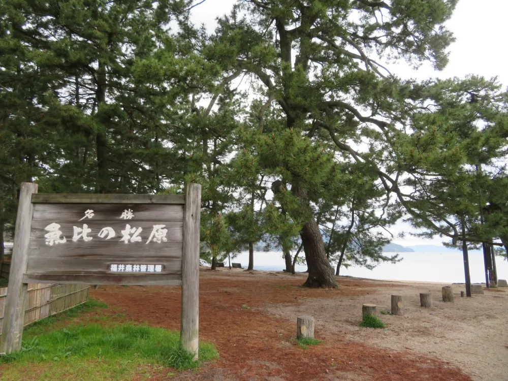 気比の浜キャンプ場