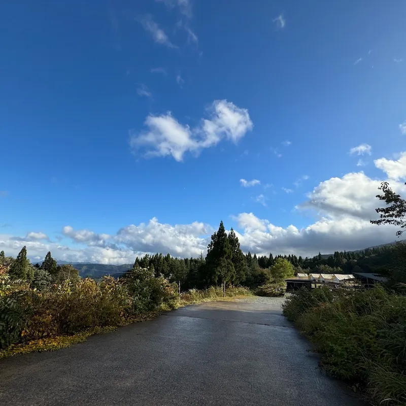 ハチ高原 THE PARKの写真