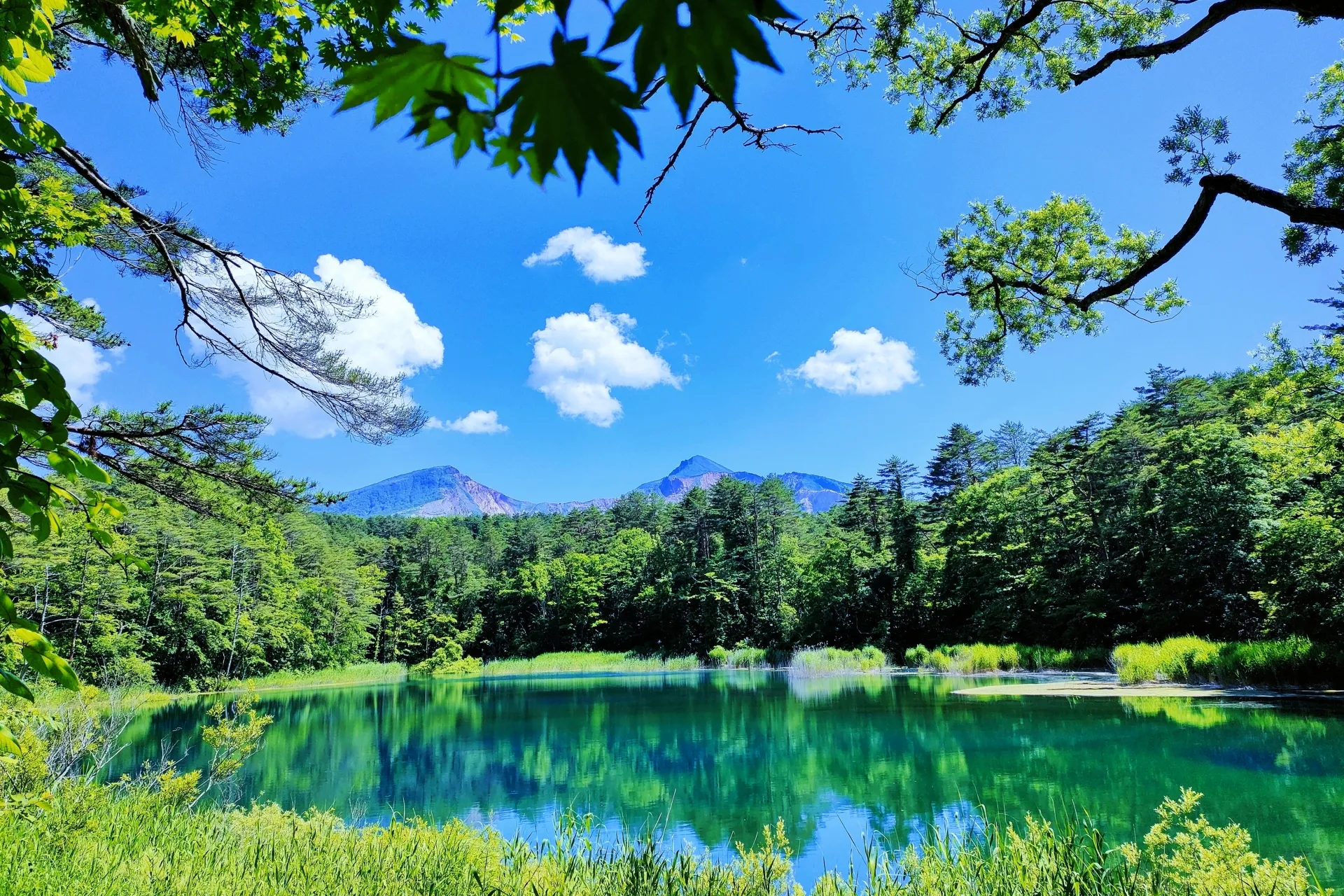 福島県