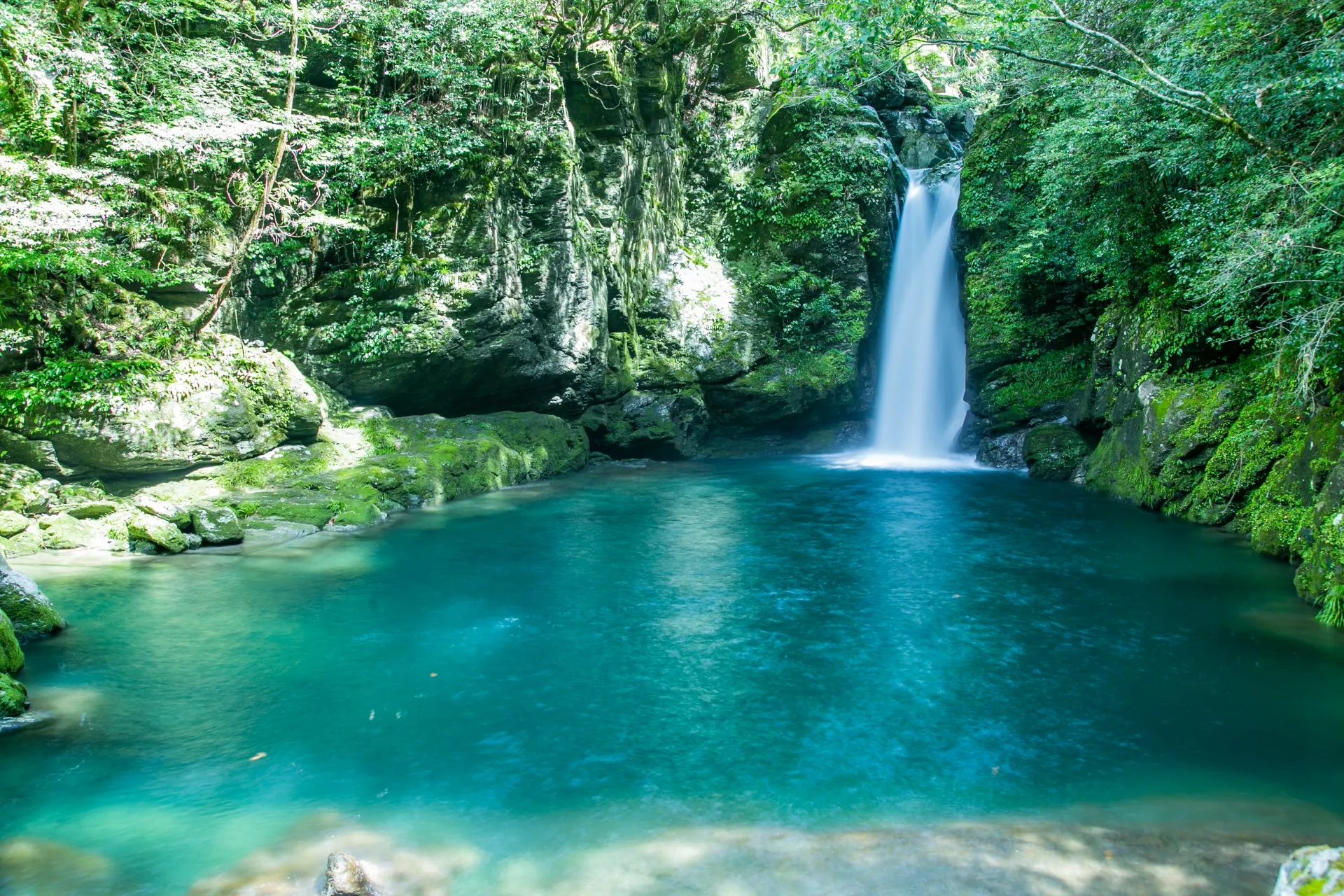 高知県の画像