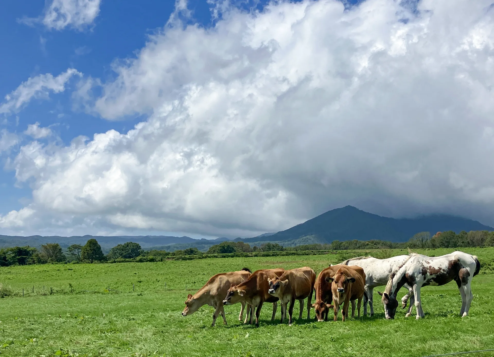 岡山県の画像
