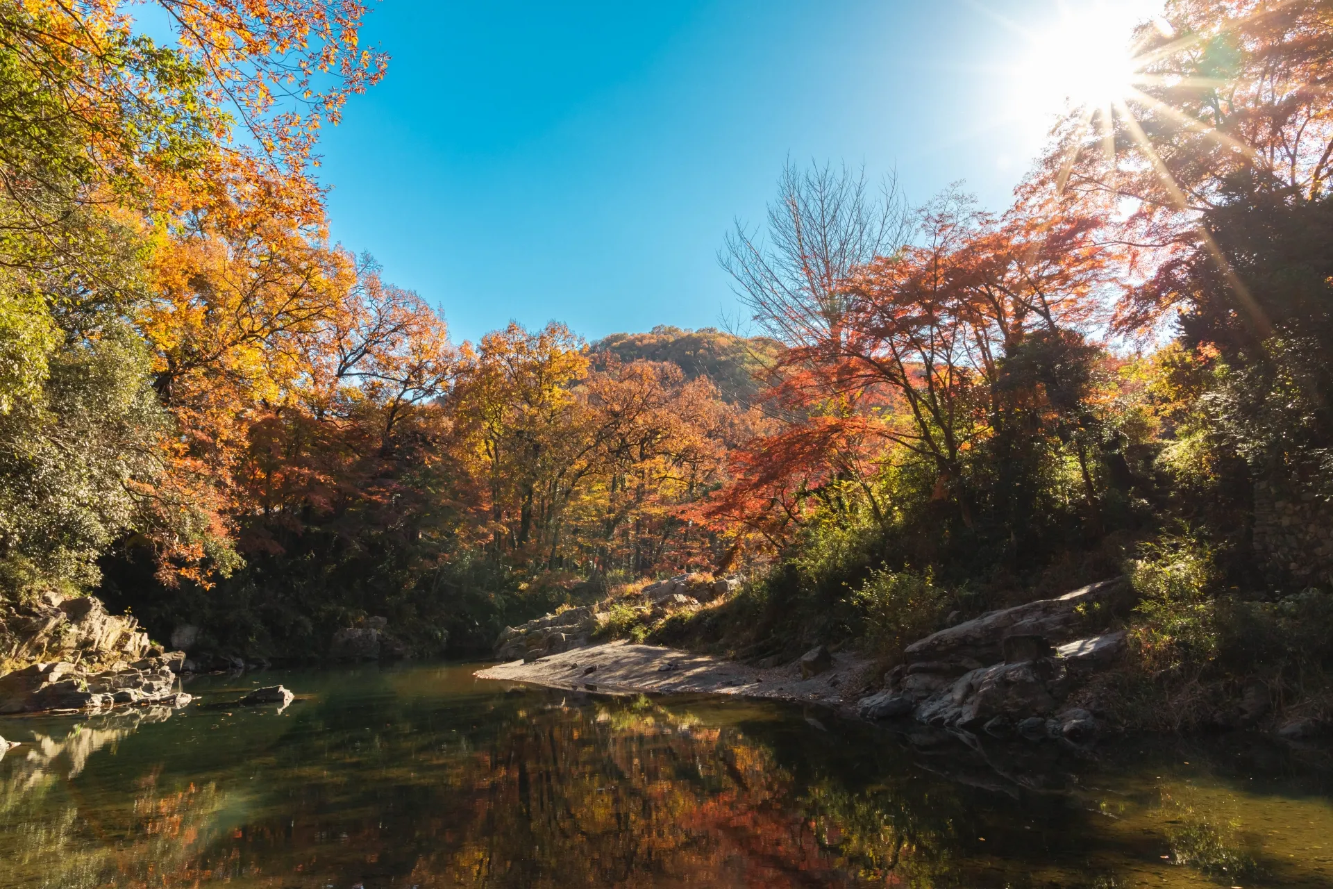 埼玉県の画像