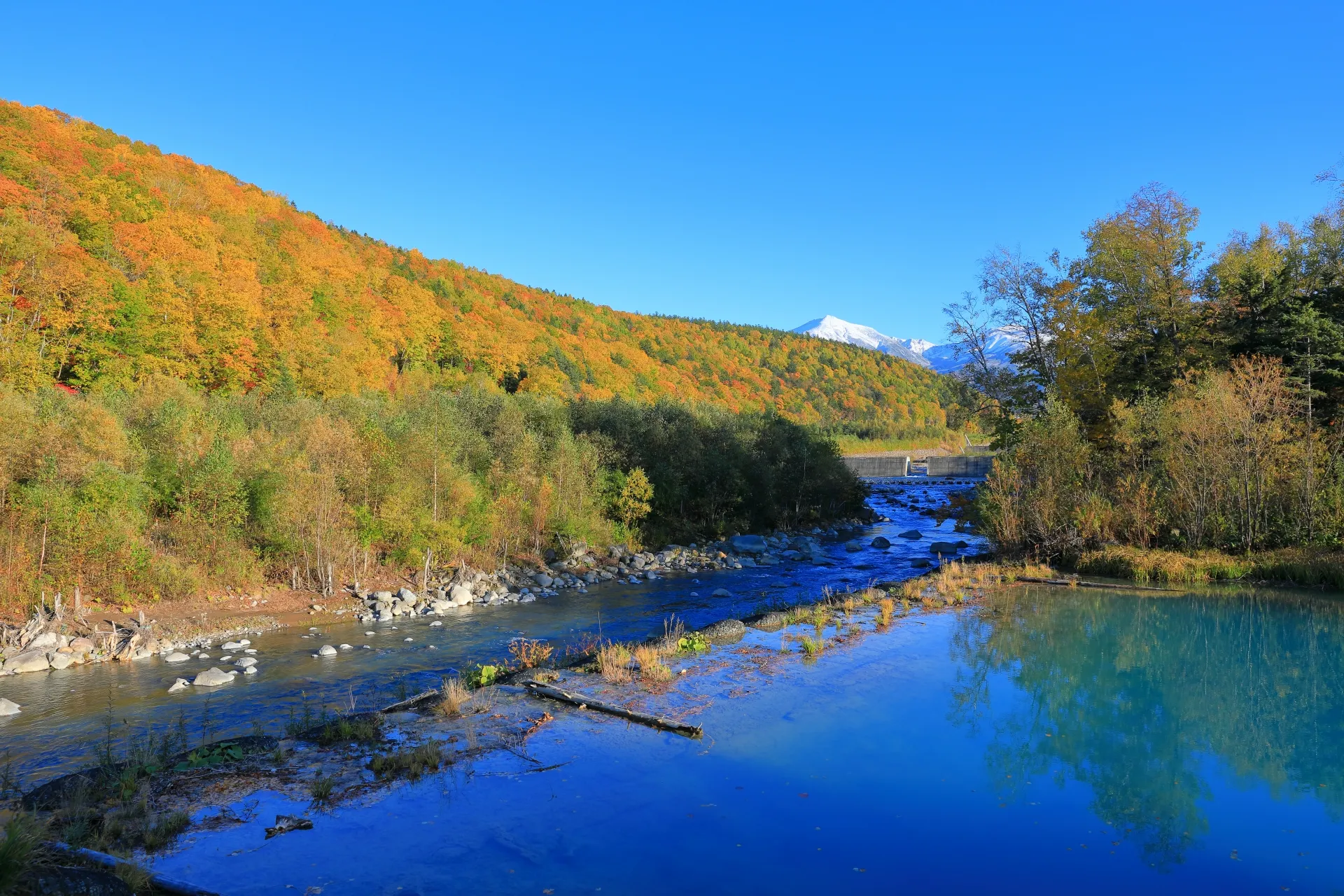 北海道の画像